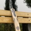 B Grade, Player Edition Hard Bat - English Willow